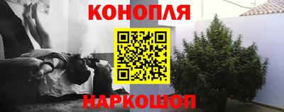 прущие крисы Обь